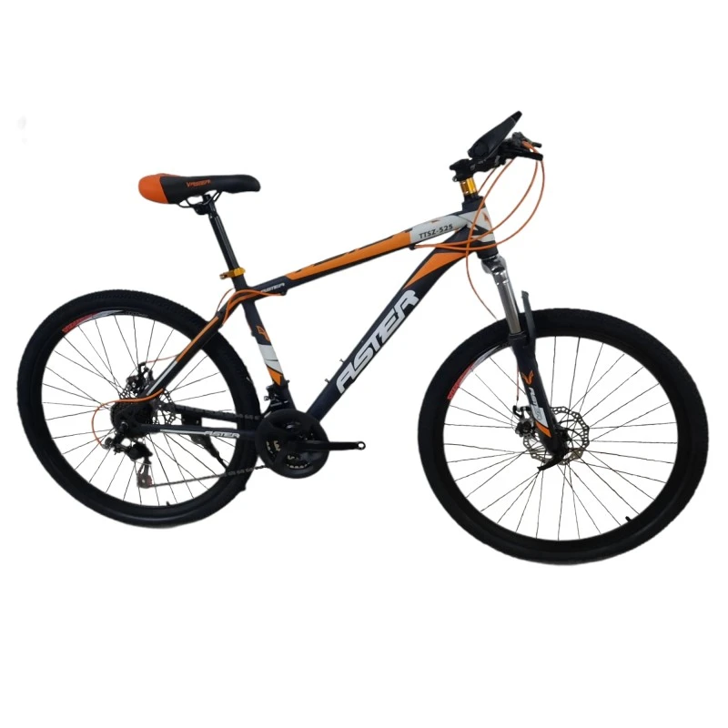دوچرخه کوهستان  آستر مدل TTSZ-535 سایز 24