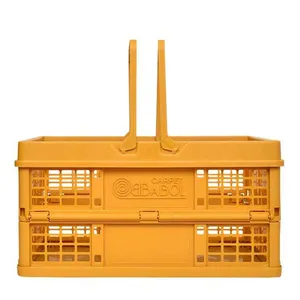 سبد پیک نیک بابل کارپت مدل FB01