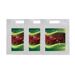 مجموعه بذر گل مینا چمنی گلباران سبز بسته 3 عددی