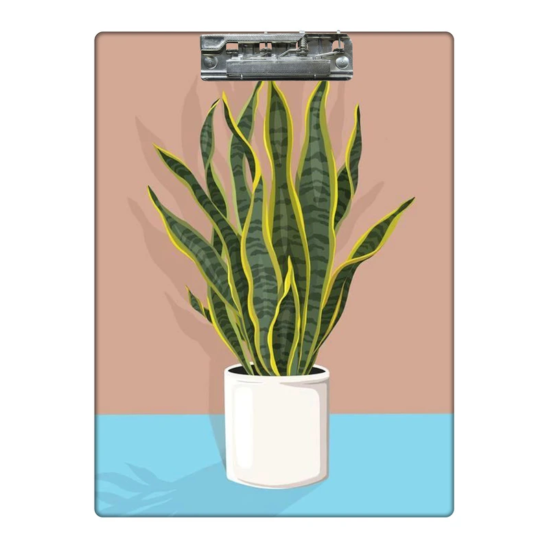 تخته شاسی طرح گلدان سانسوریا کد 3585170 سایز A4