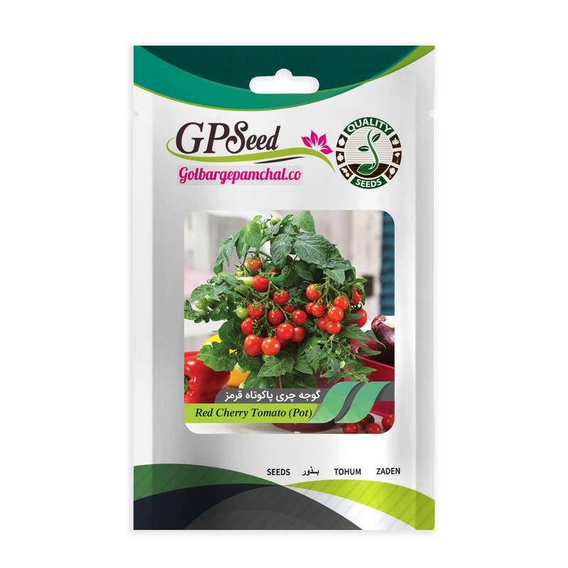 بذر گوجه چری پا کوتاه پربار قرمز گلدانی گلبرگ پامچال کد GPF-299