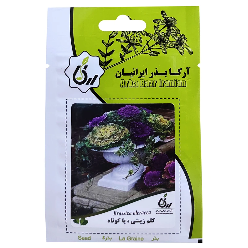 بذر گل کلم زینتی پاکوتاه آرکا بذر ایرانیان کد ARK-057