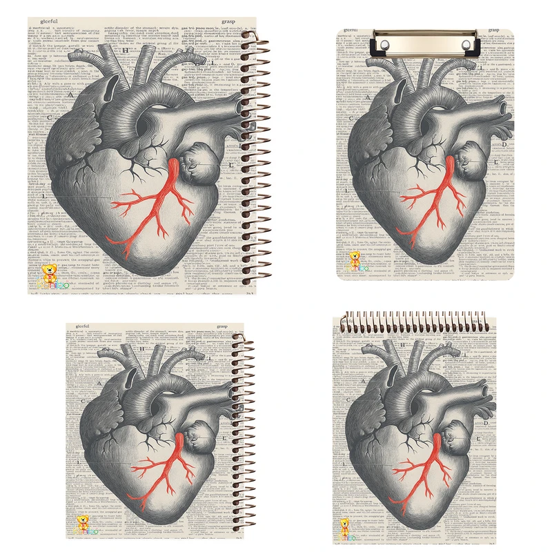 دفتر 100 برگ بانیبو مدل  قلب کد 2768 به همراه تخته شاسی بسته 4 عددی