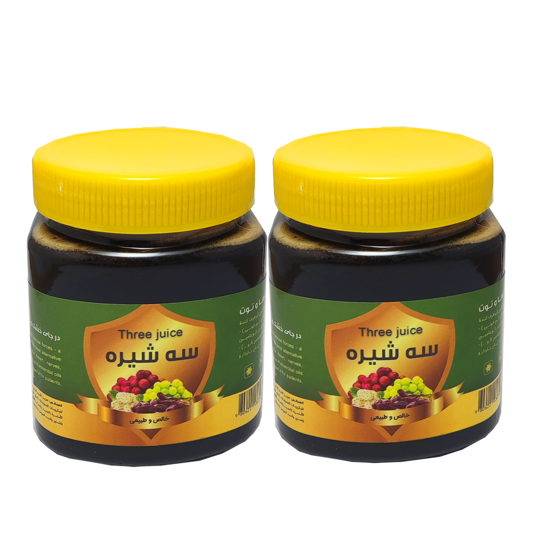 سه شیره انگور و توت و خرما حس خوب - 1000 گرم بسته 2 عددی