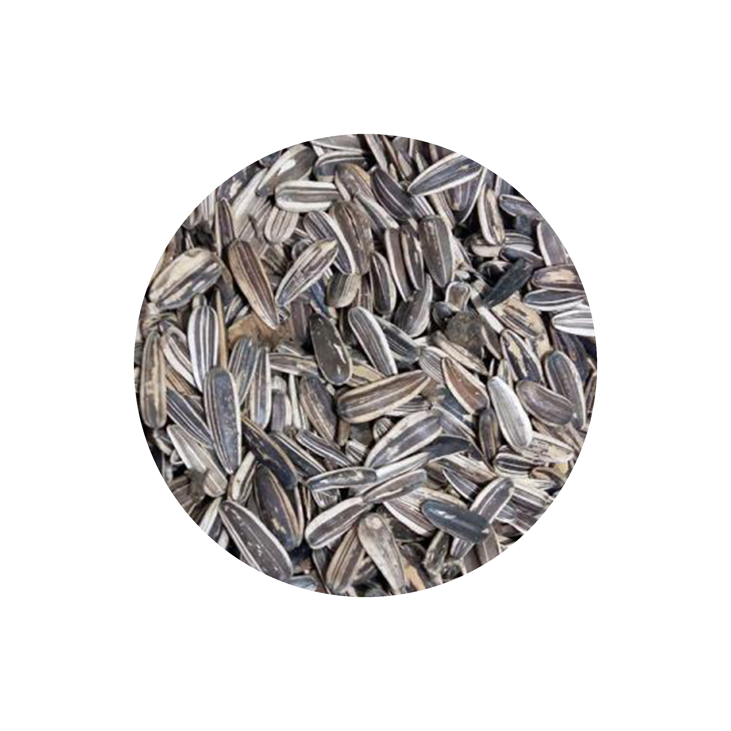 تخمه آفتابگردان سنقری نمکی دستچین کالا - 500 گرم