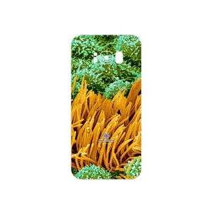 MAHOOT Atom Universe 6 Cover Sticker for Samsung Galaxy S8