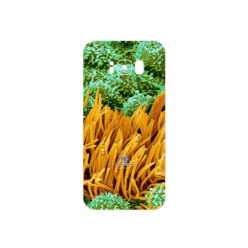 برچسب پوششی ماهوت مدل Atom Universe 6 مناسب برای گوشی موبایل سامسونگ Galaxy S8