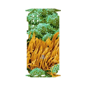 MAHOOT Atom Universe 6-FullSkin Cover Sticker for Samsung Galaxy S20 Plus