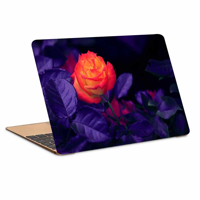 استیکر لپ تاپ طرح rose bud کد N-513 مناسب برای لپ تاپ 15.6 اینچ