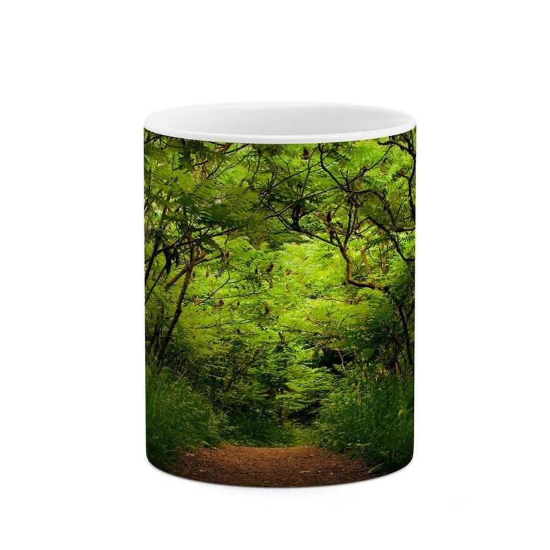 ماگ کاکتی مدل طبیعت کد mgh10724