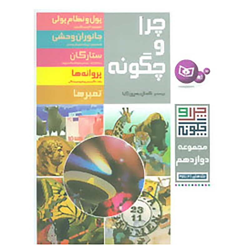 کتاب چرا و چگونه اثر فرانسیسکا یونگمان اشتادلر و دیگران