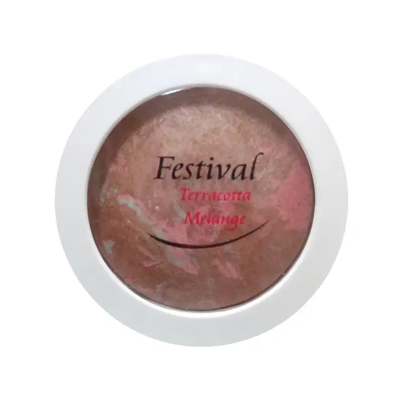 رژگونه فستیوال شماره 508