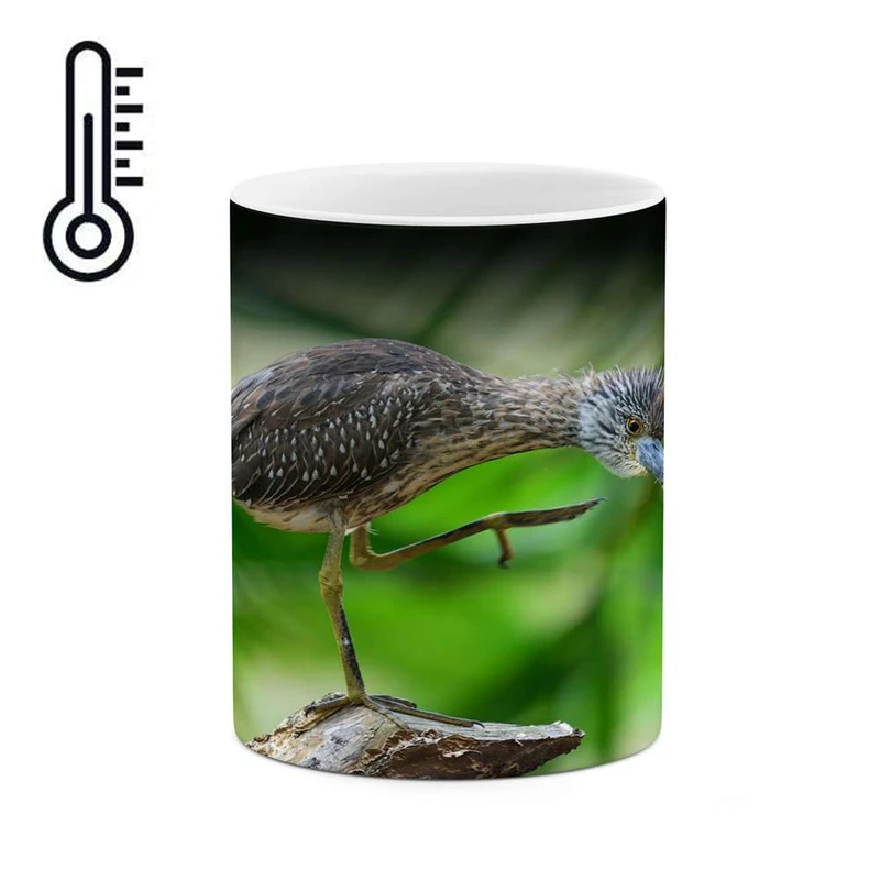 ماگ حرارتی کاکتی مدل پرنده کد mgh17978