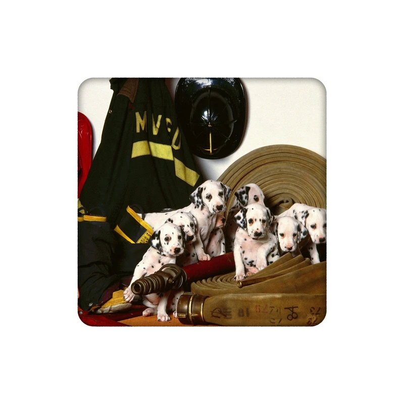 زیرلیوانی طرح آتش نشان کد 3300280