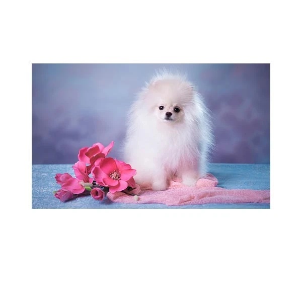    پادری طرح حیوانات کد M35M001-MA0070 سایز 76x46 سانتی متر