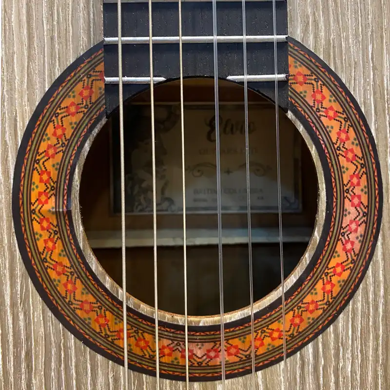 گیتار الوین مدل C3