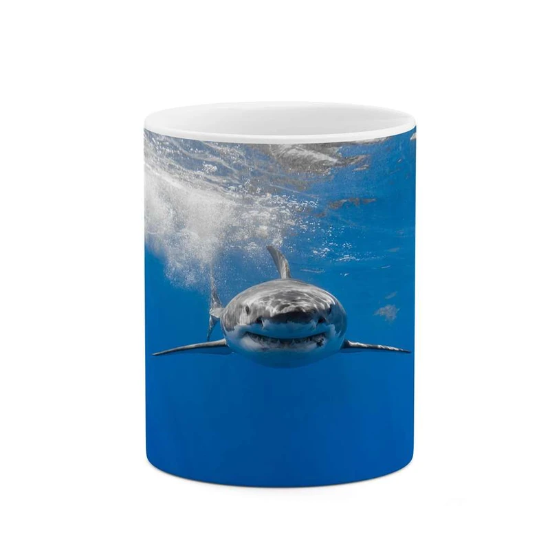 ماگ کاکتی مدل کوسه کد mgh16342