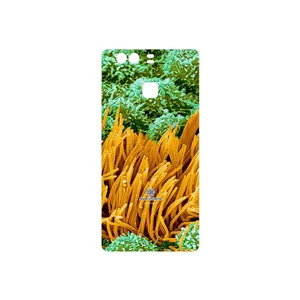 MAHOOT Atom Universe 6 Cover Sticker for Huawei P9