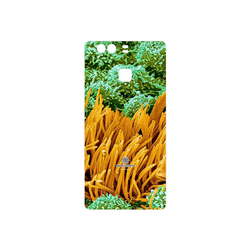 برچسب پوششی ماهوت مدل Atom Universe 6 مناسب برای گوشی موبایل هوآوی P9