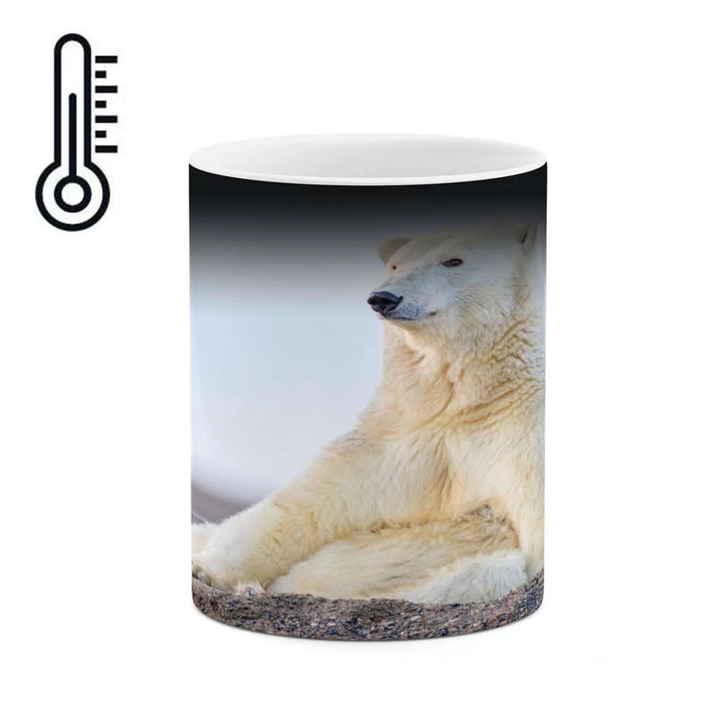 ماگ حرارتی کاکتی مدل خرس کد mgh16290