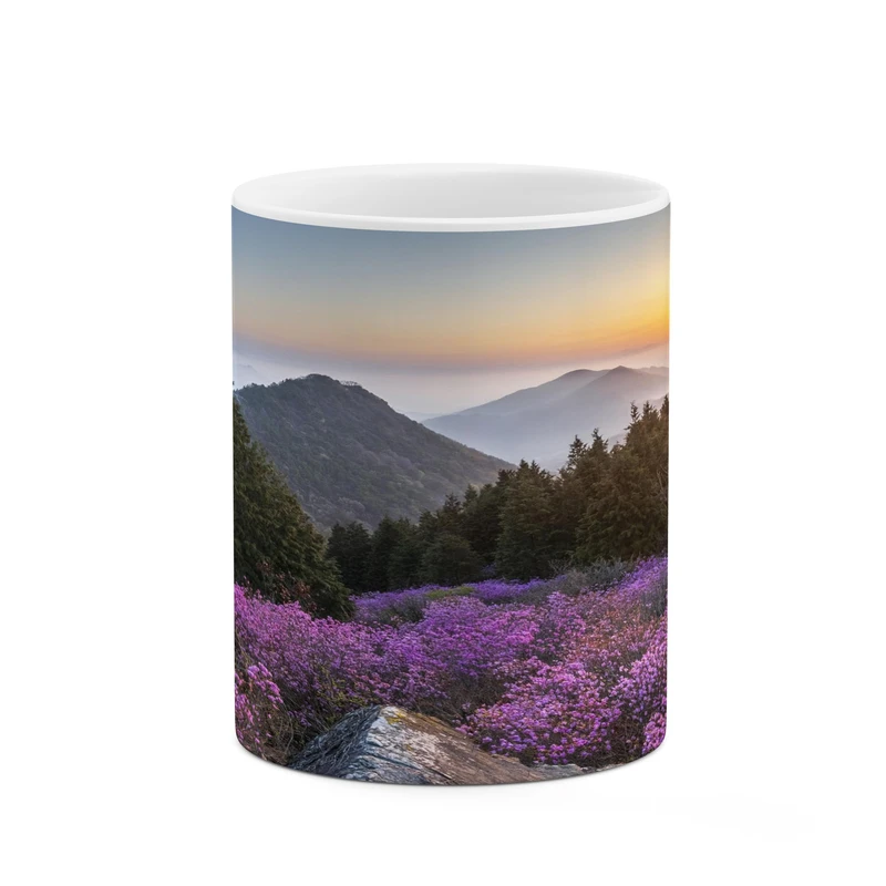 ماگ کاکتی مدل منظره کد mgh17227