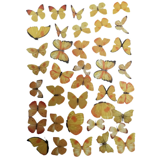 آنباکس برچسب طرح پروانه های شفاف مدل BE1104 مجموعه 40 عددی توسط مائده گوهری در تاریخ ۲۰ آذر ۱۴۰۲