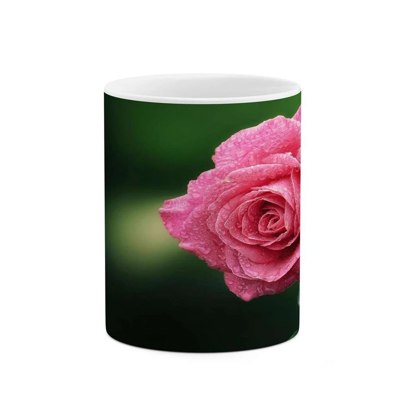 ماگ کاکتی مدل گل کد mgh16519