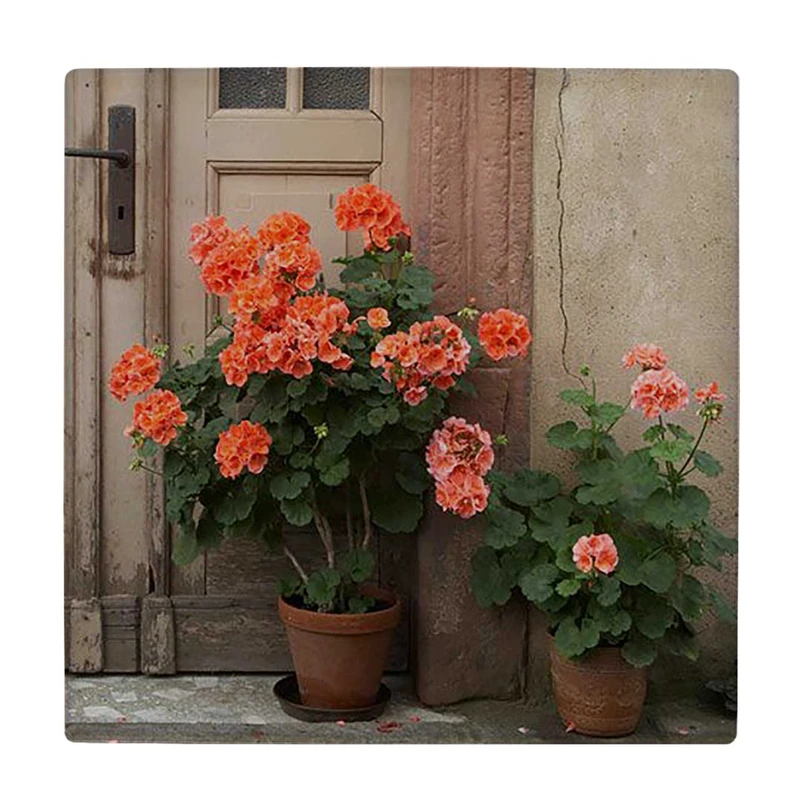  زیر لیوانی  طرح گلدان های گل کد    5775172_4118