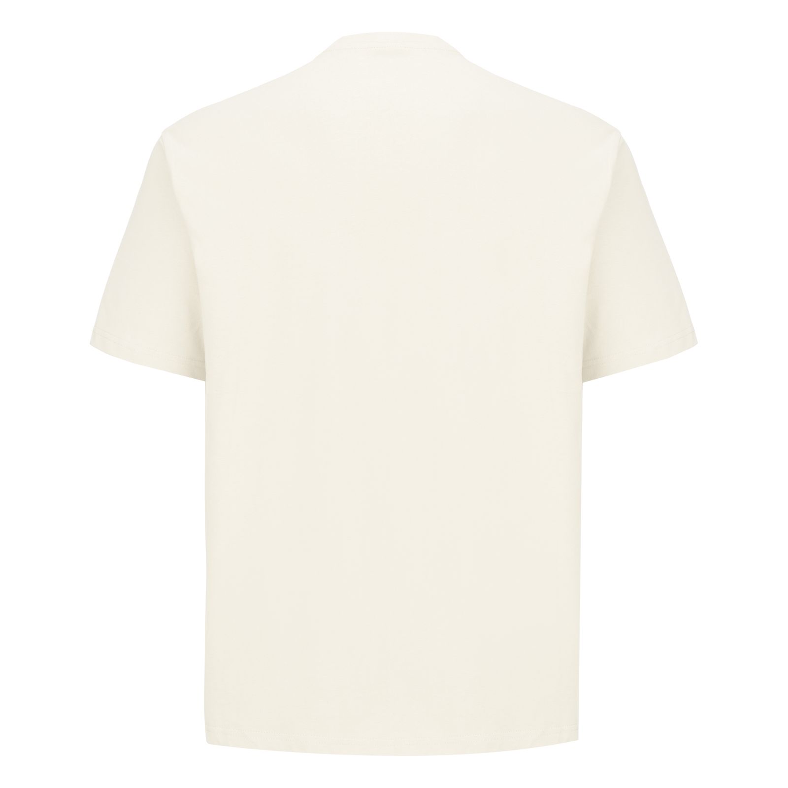 تی شرت اورسایز  آستین کوتاه مردانه پگادور مدل 17681024104 -  - 4