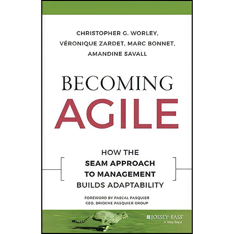 کتاب Becoming Agile اثر جمعي از نويسندگان انتشارات Jossey-Bass