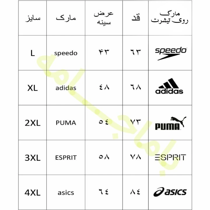 عکس شماره 4