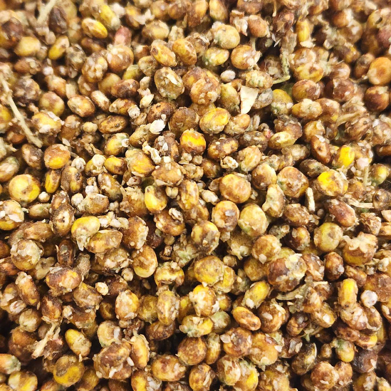 سماق قهوه ای ناساب خراسانی - 500 گرم