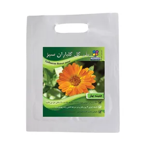 بذر گل همیشه بهار شرکت گلباران سبز گیلان مدل BH بسته 24 عددی