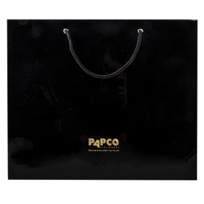 کلاسور پاپکو مدل مدل اکو کد 3