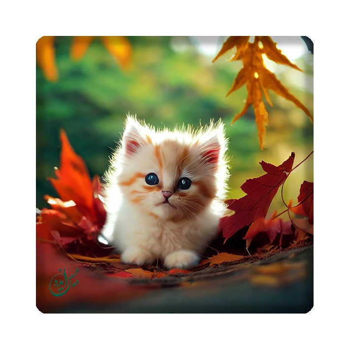 کاشی مبین ایده مدل فانتزی kh10 کد 1614