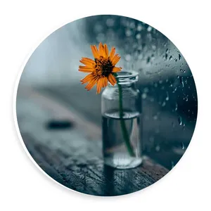 دیوارکوب طرح گلدان کوچک و شیشه بارانی مدل wtb205