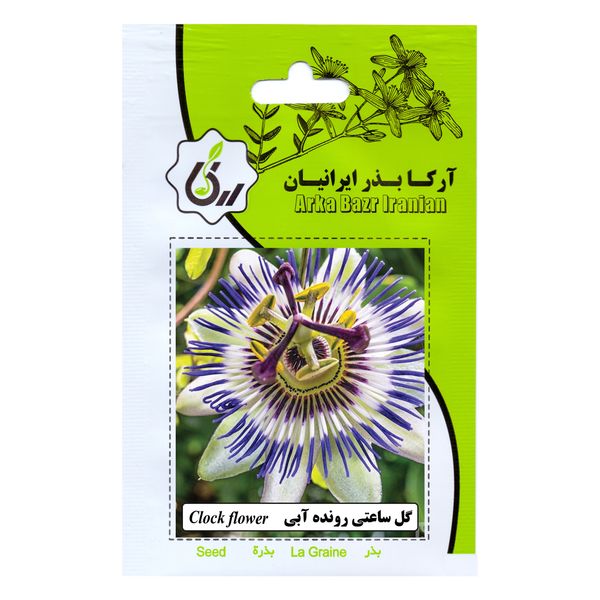 بذر گل ساعتی رونده آبی آرکا بذر ایرانیان کد 79-ARK بذر گل ساعتی رونده آبی آرکا بذر ایرانیان کد 79-ARK