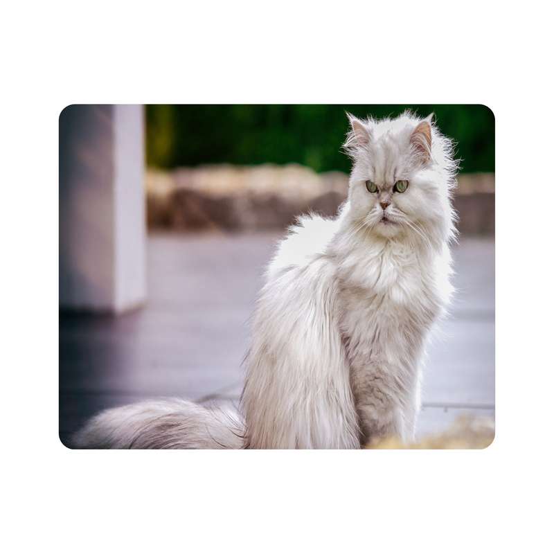 ماوس پد اطلس آبی  طرح گربه مدل T7688
