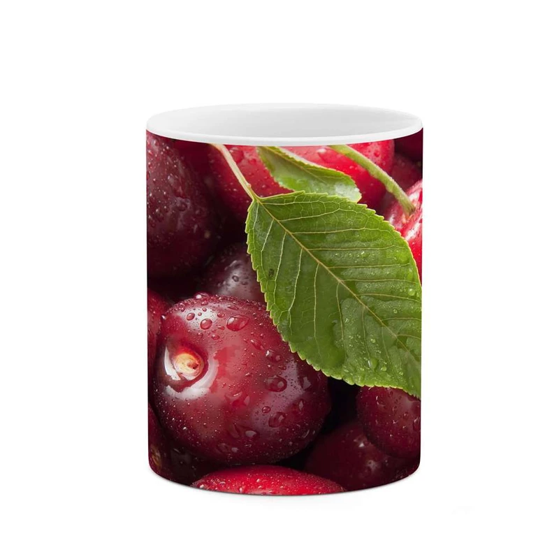 ماگ کاکتی مدل گیلاس کد mgh15635