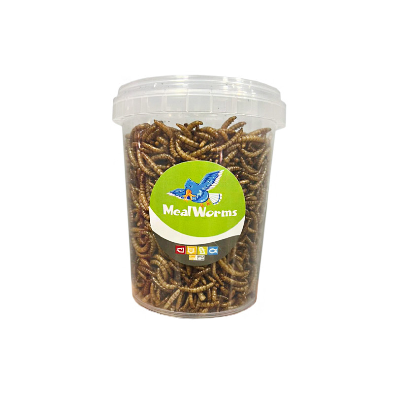تشویقی پرندگان شهر پت مدل Mealworm وزن 100 گرم