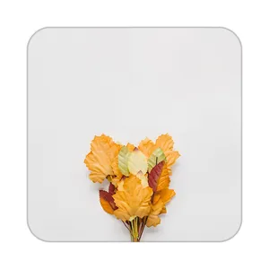 زیر لیوانی کاکتی طرح گل مدل mp16491