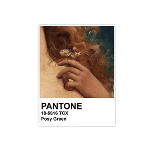 استیکر لپ تاپ ویندی دیزاین طرح pantone مدل 1402