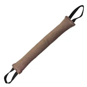 تاگ آموزشی سگ کد TA P2L-3