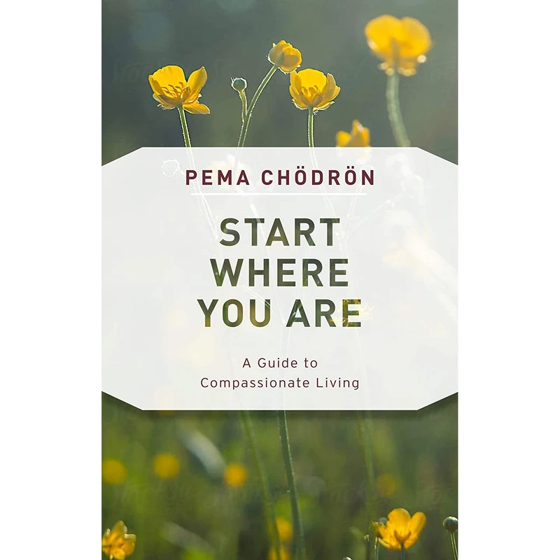 کتاب Start Where You Are: A Guide to Compassionate Living اثر Pema Chouml and drouml;n انتشارات Shambhala