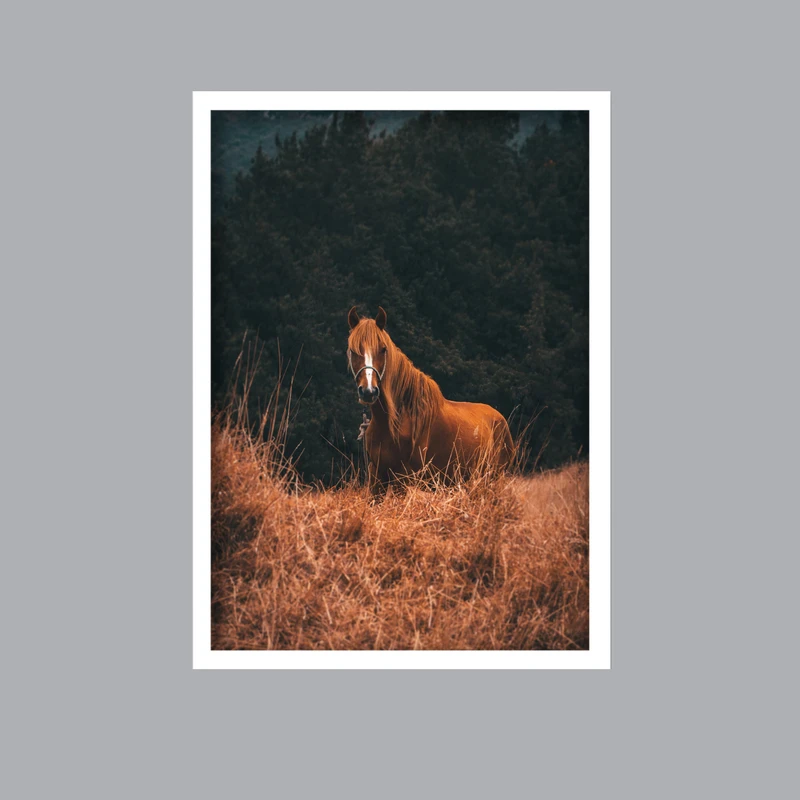 تابلو لیلیان طرح اسب کد LA-G10215 فریم سفید