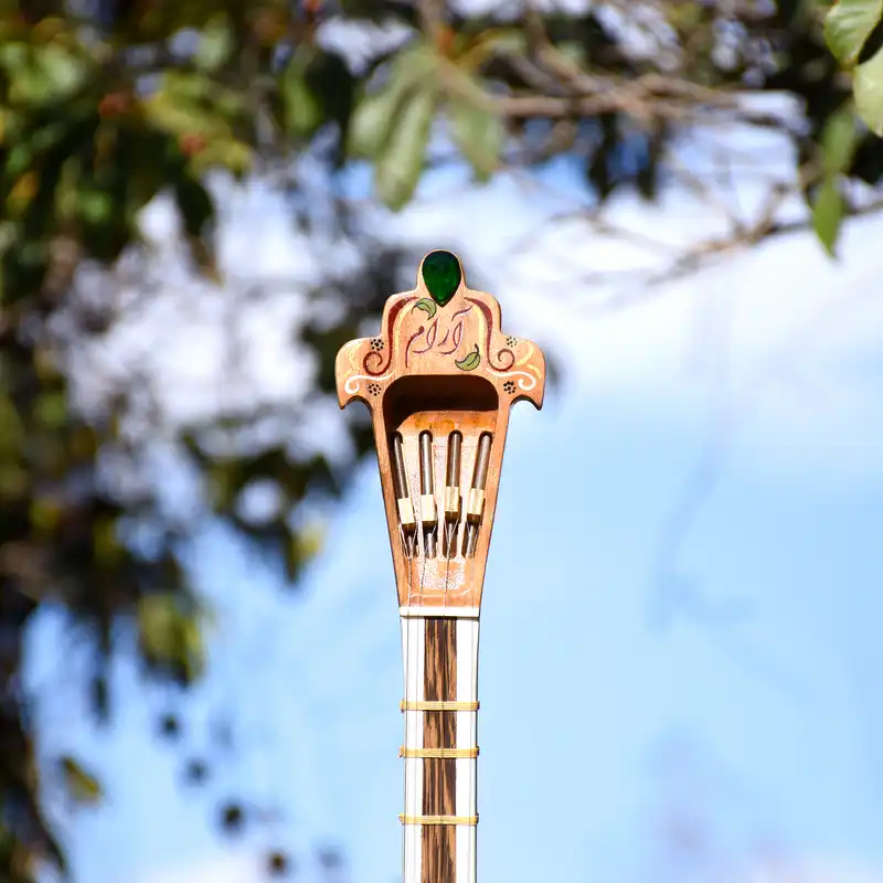 سه تار ایران ساز مدل آرام