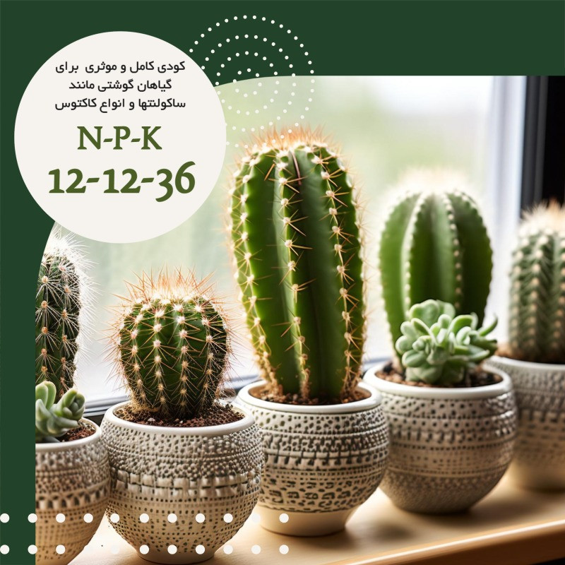 کود NPK 12-12-36 آگنس مدل Ag121236 وزن 300گرم