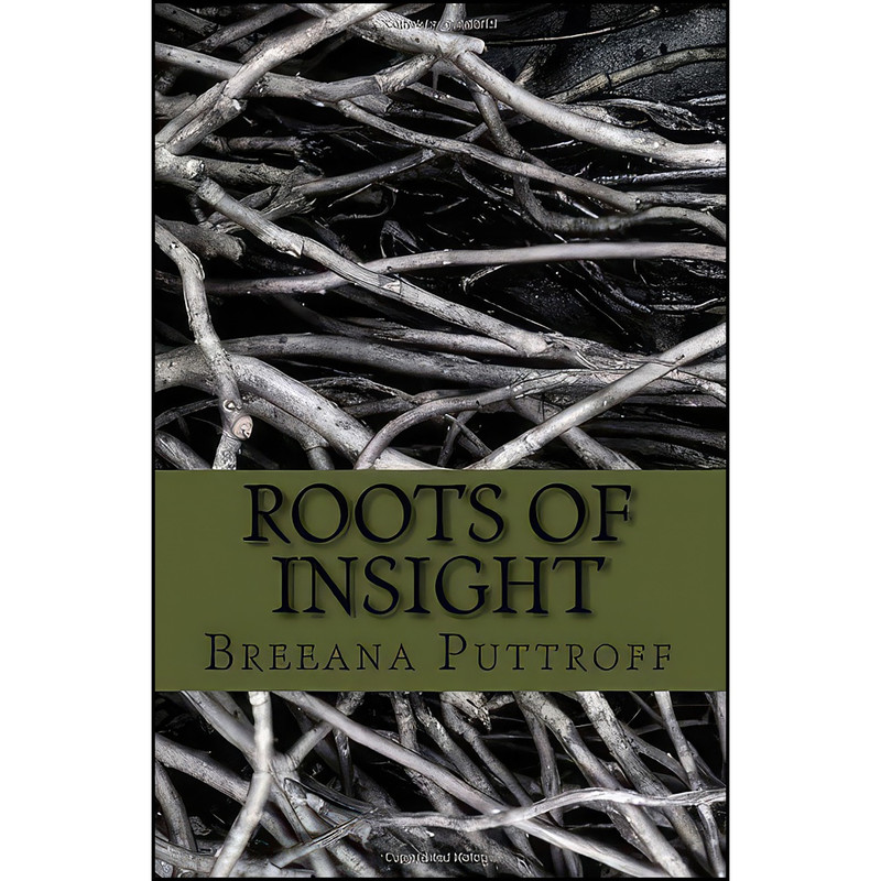 کتاب Roots of Insight اثر Breeana Puttroff انتشارات Createspace Independent Pub