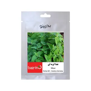 بذر نعنا گربه ای بذرینو کد BZNO-263