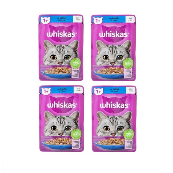 پوچ گربه بالغ ویسکاس مدل گروی طعم ماهی قزل آلا وزن 85 گرم مجموعه 4 عددی